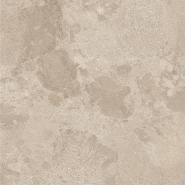 08 BLOOMSTONE SHELL 60X120 P0