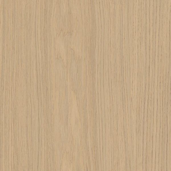 Caesar Pure Sheer 30x120 XT WEB