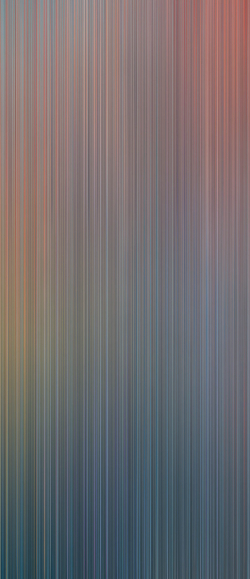 Decoraciones Reed (120x278 cm)