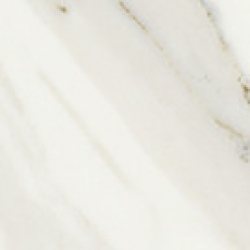 Decors Marble Inspiration - Anima Calacatta Oro Tozzetto