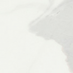 Decors Marble Inspiration - Anima Statuario Venato Tozzetto