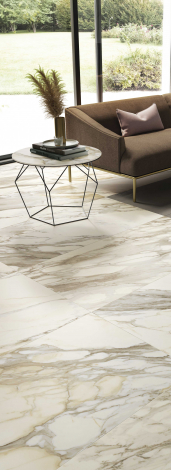 anima ever living dett B 2 ok