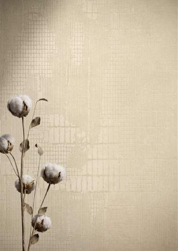 31 Caesar Lore Grano Grid StillLife2