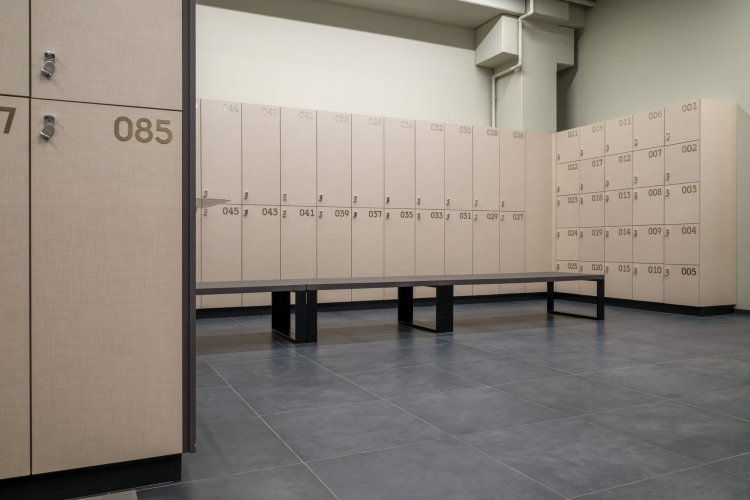 Il David Palestra 51