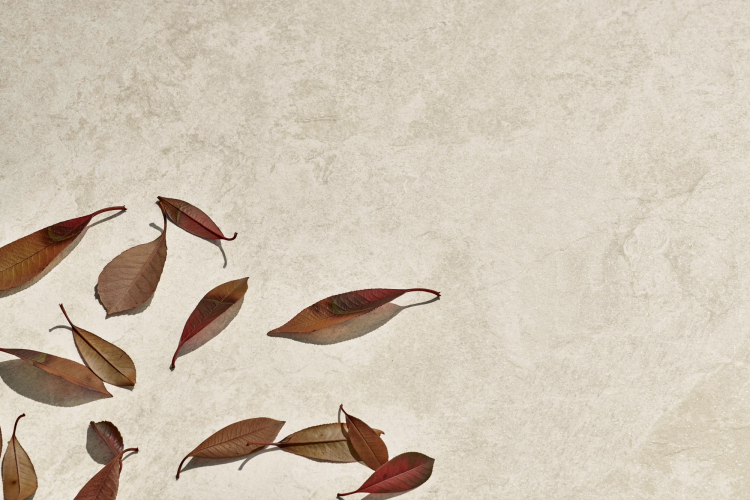 caesar quartz essence17953 Nest Low