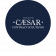 caesar storia 2012 caesar contract solutions