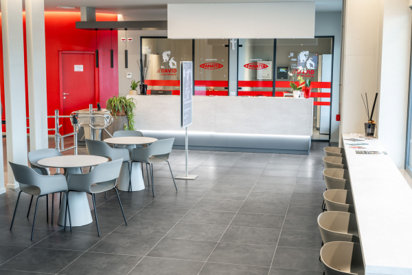 Il David Palestra 07